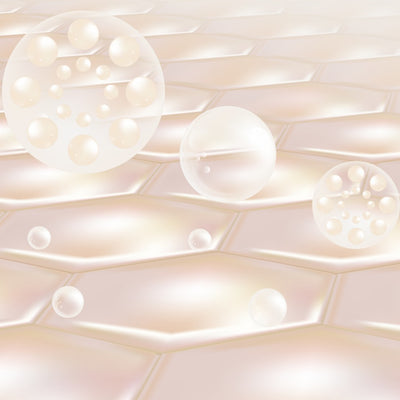 TREMELLA_FUCIFORMIS_SNOW_MUSHROOM